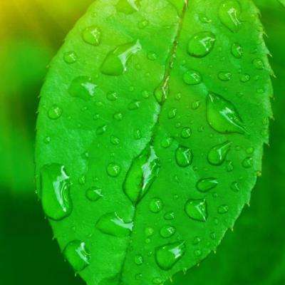 我在三国当皇帝破解版下载